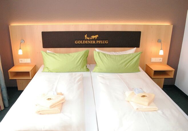 Imagen general del Landgasthof Goldener Pflug. Foto 4