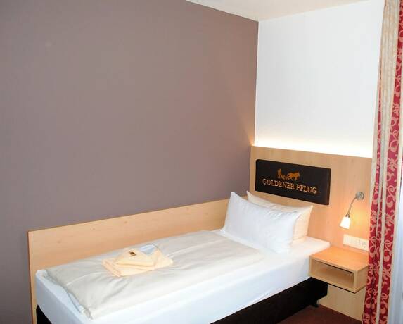 Imagen de la habitación del Landgasthof Goldener Pflug. Foto 16
