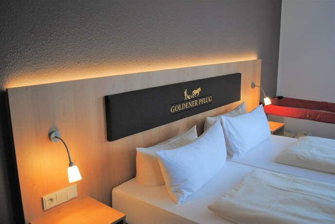 Imagen de la habitación del Landgasthof Goldener Pflug. Foto 18