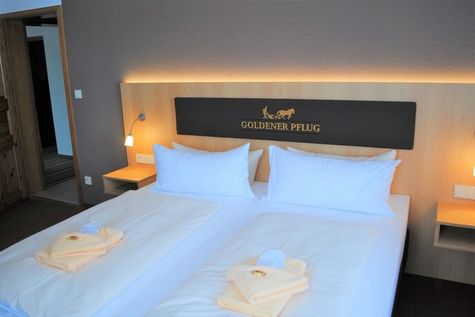 Imagen de la habitación del Landgasthof Goldener Pflug. Foto 19