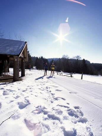 Imagen general del Landgasthof Haus zur Sonne. Foto 6