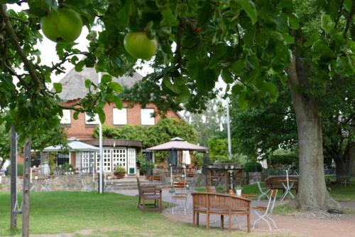 Imagen general del Landgasthof Kasch - Hotel und Restaurant. Foto 9
