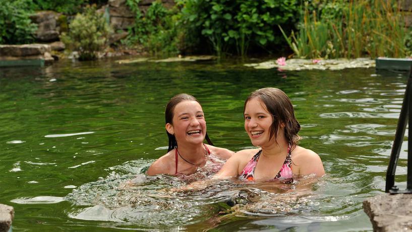 Imagen de la piscina del Landgasthof Probstei Zella. Foto 20