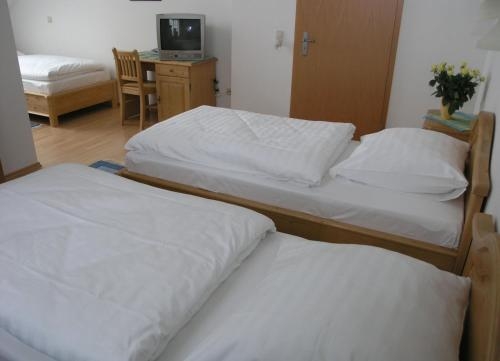 Imagen general del Landgasthof Und Hotel Forchhammer. Foto 8