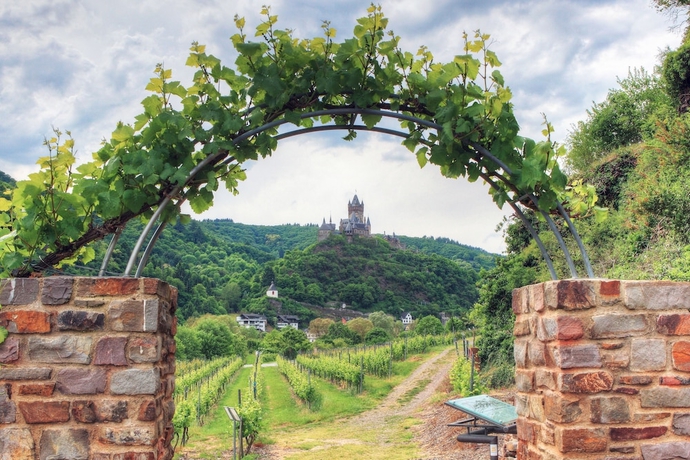 Imagen general del Landgasthof Winzerscheune. Foto 2