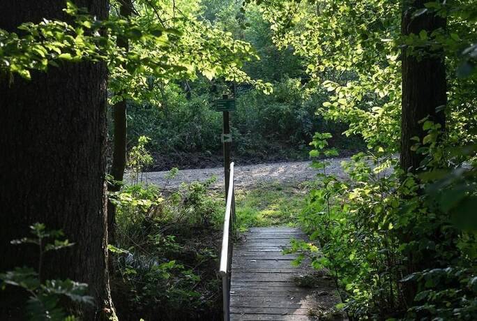 Imagen general del Landgasthof Zum Kirchenwirt. Foto 18