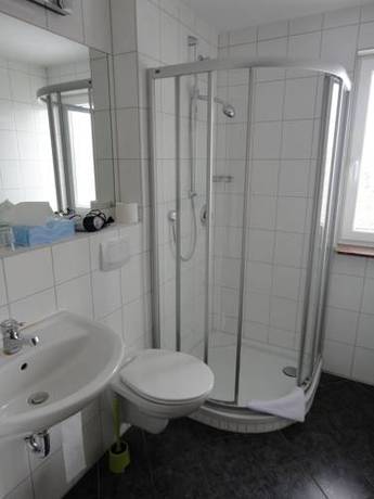 Imagen de la habitación del Landgasthof-metzgerei Traube. Foto 8