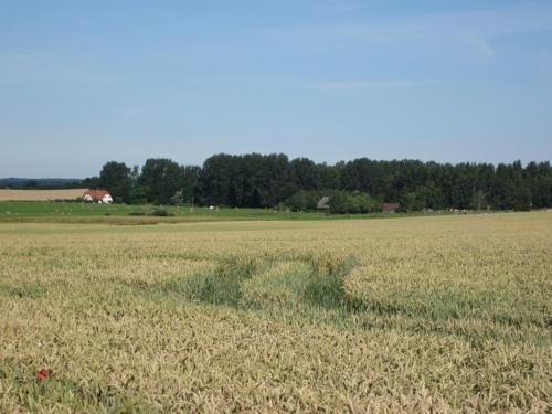 Imagen general del Landhaus Alt Reddevitz. Foto 3