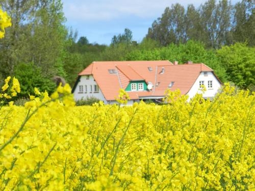 Imagen general del Landhaus Alt Reddevitz. Foto 4