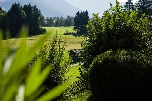Imagen general del Landhaus Am Bergwald. Foto 5