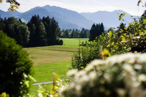 Imagen general del Landhaus Am Bergwald. Foto 6