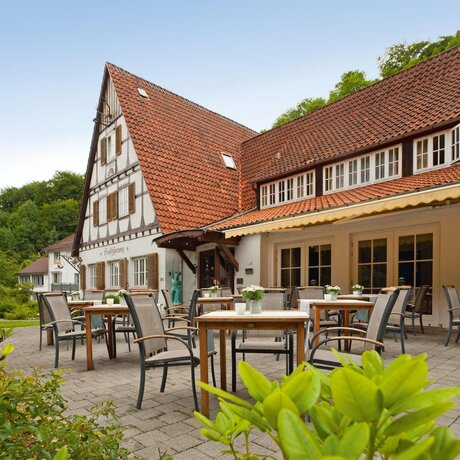 Imagen general del Landhaus Hirschsprung. Foto 12