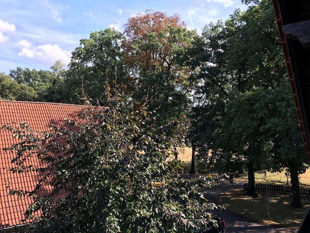 Imagen de los exteriores del Landhaus Pension G&ouml;ke. Foto 16