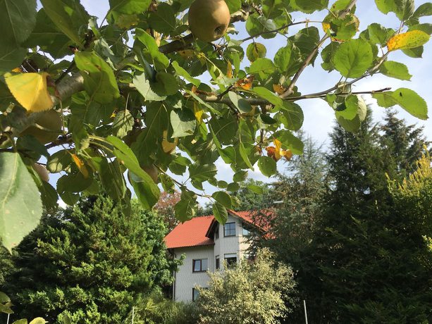 Imagen general del Landhaus Pension G&ouml;ke. Foto 3