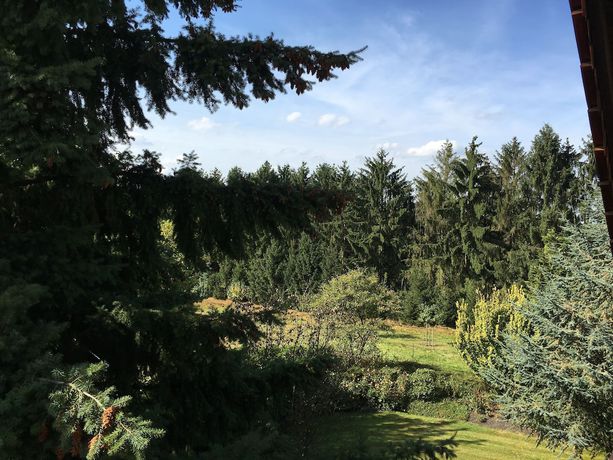 Imagen de los exteriores del Landhaus Pension G&ouml;ke. Foto 18