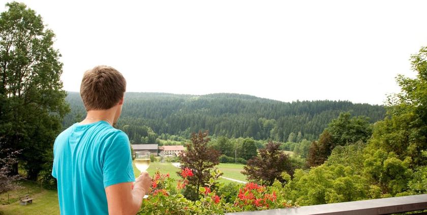 Imagen de la habitación del Landhotel Bayerwald. Foto 15