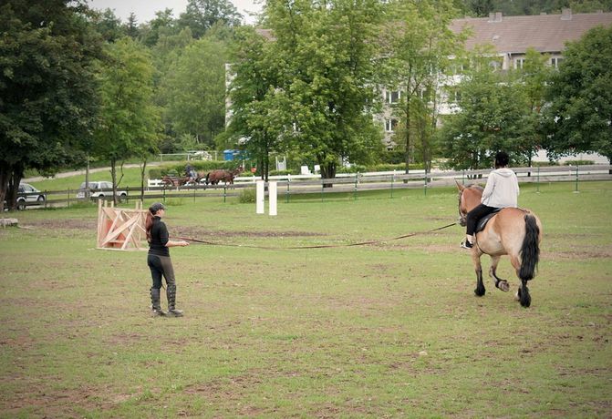 Imagen general del Landhotel Harz. Foto 2