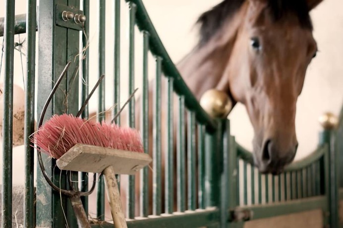 Imagen de los interiores del Landhotel Harz. Foto 12