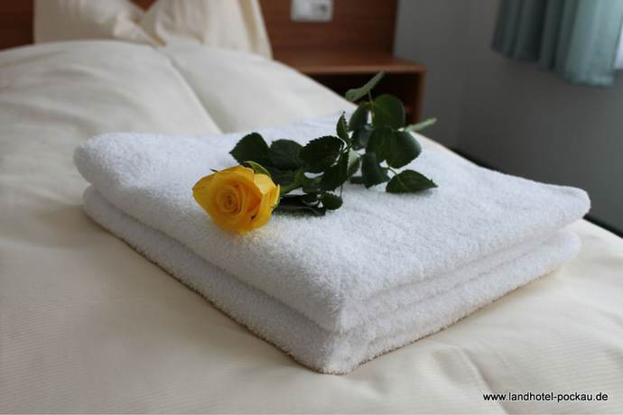 Imagen de la habitación del Landhotel Pockau. Foto 15