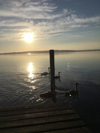 Imagen general del Landhotel Rosenhof. Foto 3