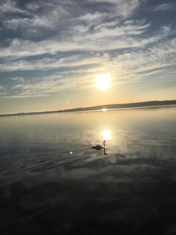 Imagen general del Landhotel Rosenhof. Foto 5