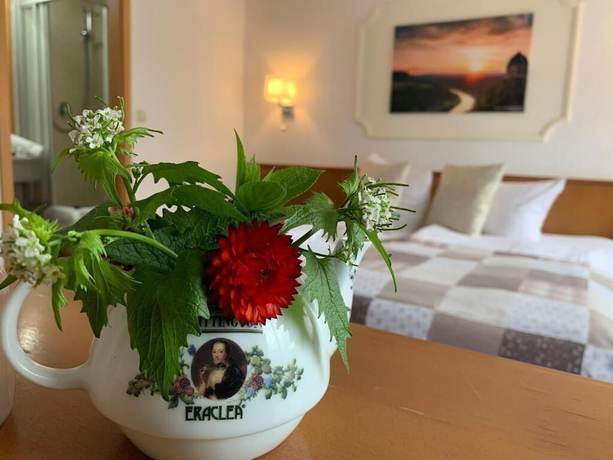 Imagen de la habitación del Landhotel Wesenitz. Foto 3