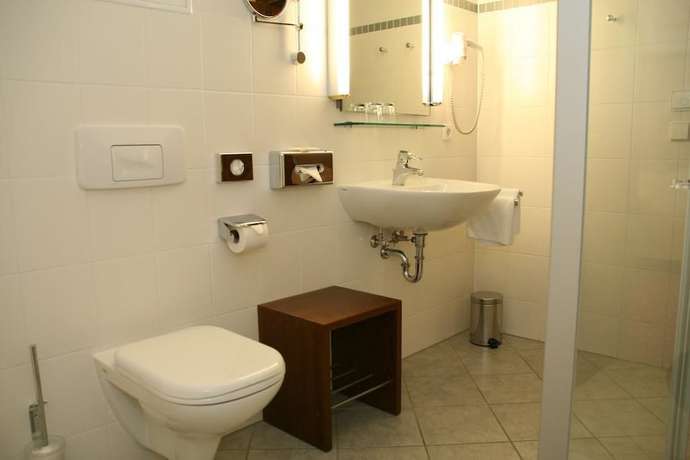 Imagen de la habitación del Landhotel Zum Hessenpark. Foto 9