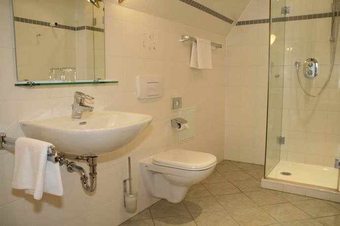 Imagen de la habitación del Landhotel Zum Hessenpark. Foto 10