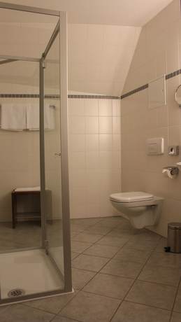 Imagen de la habitación del Landhotel Zum Hessenpark. Foto 15