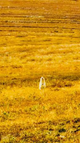 Imagen general del Lantern Hotel. Foto 2