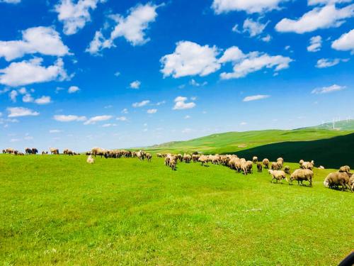 Imagen general del Lantern Hotel. Foto 3