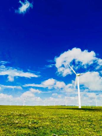 Imagen general del Lantern Hotel. Foto 4