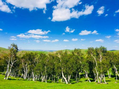 Imagen general del Lantern Hotel. Foto 5