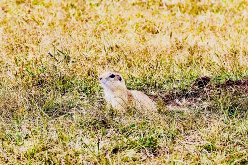 Imagen general del Lantern Hotel. Foto 6