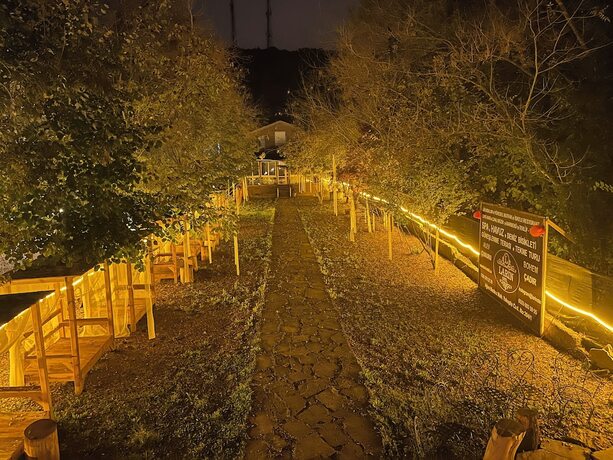 Imagen de la habitación del Larin Otel. Foto 17