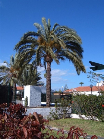 Imagen de los exteriores del Las Tartanas 3&ordf; Fase. Foto 5