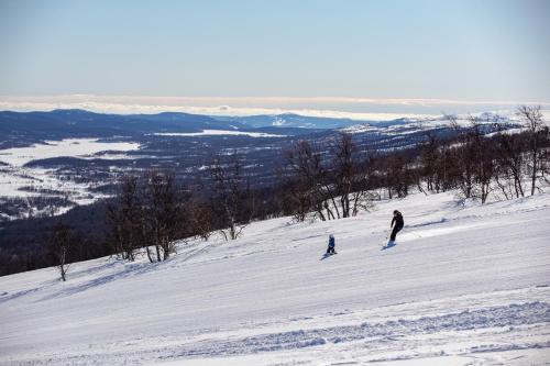 Imagen general del L&auml;genheter Hamrafj&auml;llet T&auml;nndalen. Foto 5