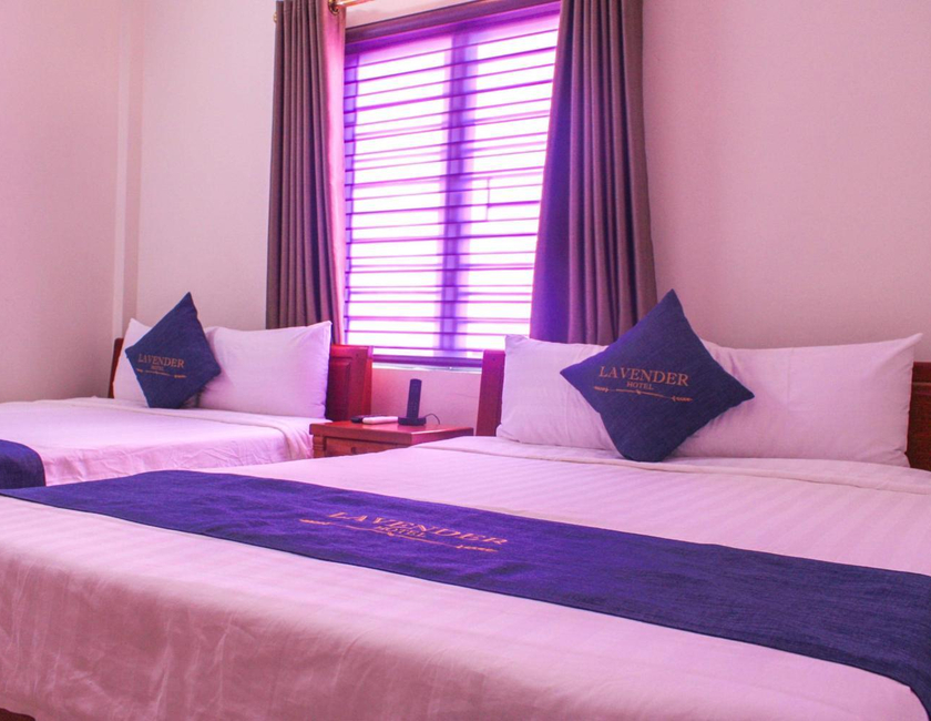 Imagen general del Lavender Hotel. Foto 15
