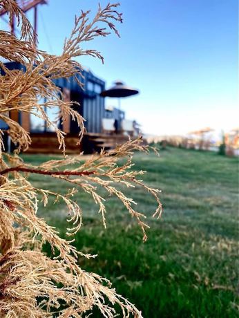 Imagen general del Lavira Tiny House Village. Foto 6