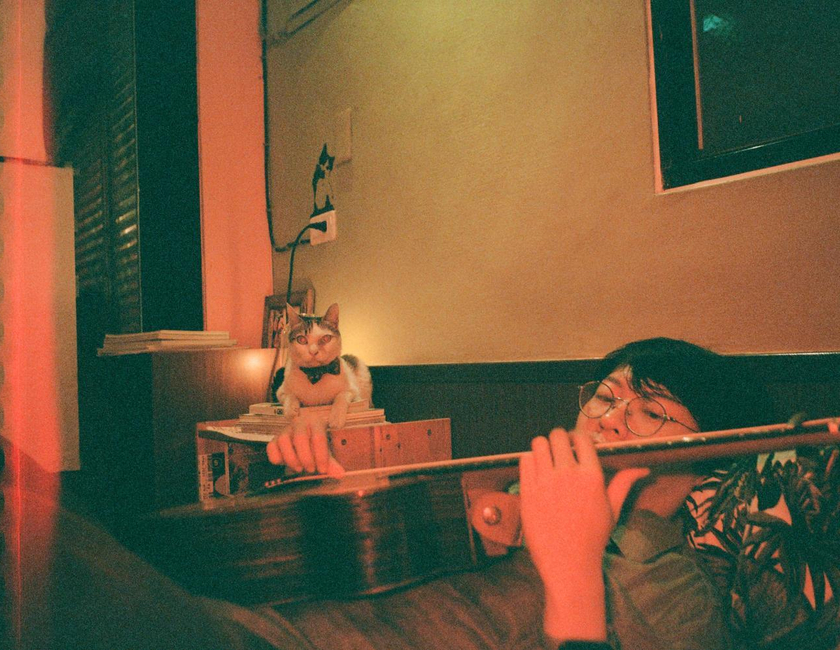 Imagen general del Lazy House. Foto 24