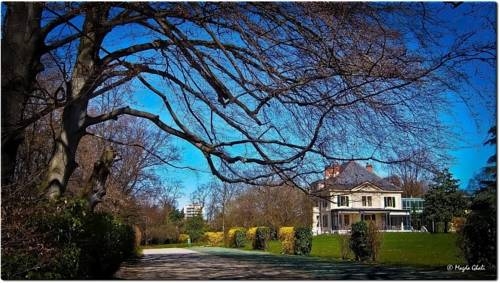 Imagen general del Le C&eacute;nacle. Foto 5