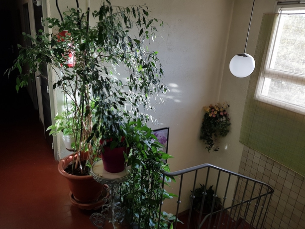 Imagen de los interiores del Le Chemin Neuf. Foto 16
