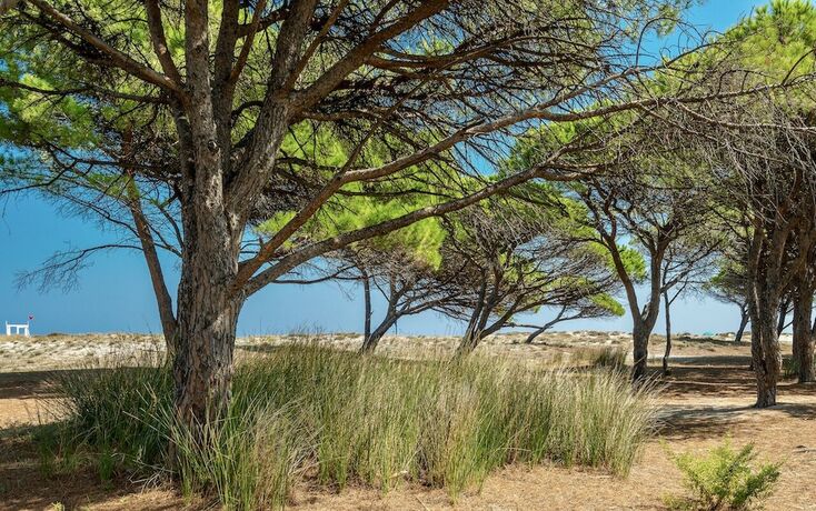 Imagen general del Le Dimore di Budoni WIFI e A.C. Foto 2