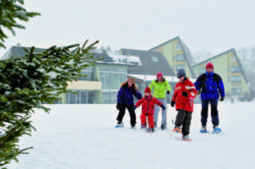 Imagen de la habitación del Le Domaine Des Puys. Foto 4