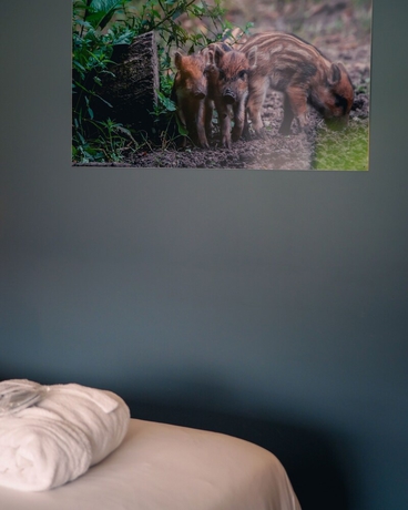 Imagen de la habitación del Le Domaine de Bra. Foto 8