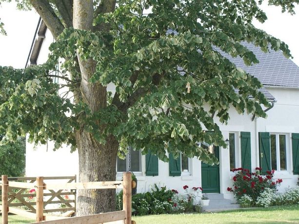 Imagen general del Le Grand Gîte. Foto 4