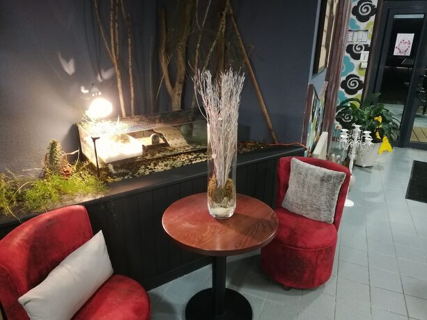 Imagen general del Le New Salin. Foto 9