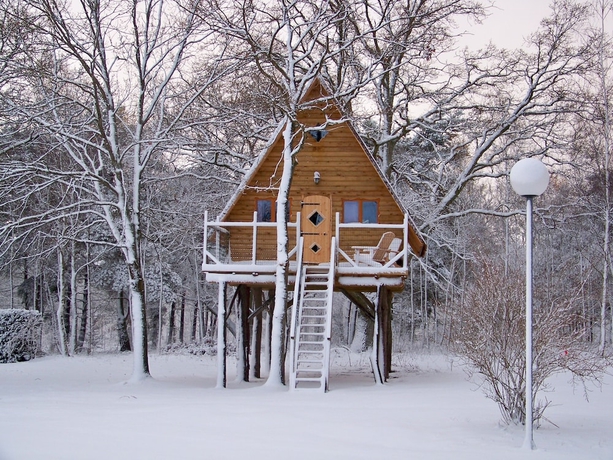Imagen de la habitación del Le Nid dans les Bruy&egrave;res. Foto 15