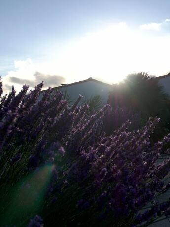 Imagen general del Le Petit Bois. Foto 3