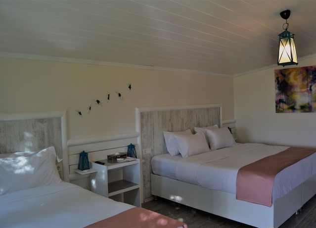 Imagen de la habitación del Le Petit Hotel ve Bağ Evi. Foto 4